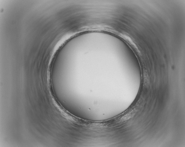 X0000060261424200511181343