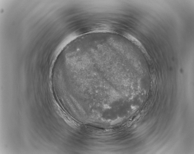 X0000060261427200511181343