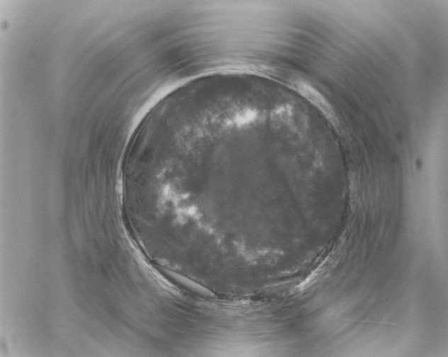 X0000060261428200511181343