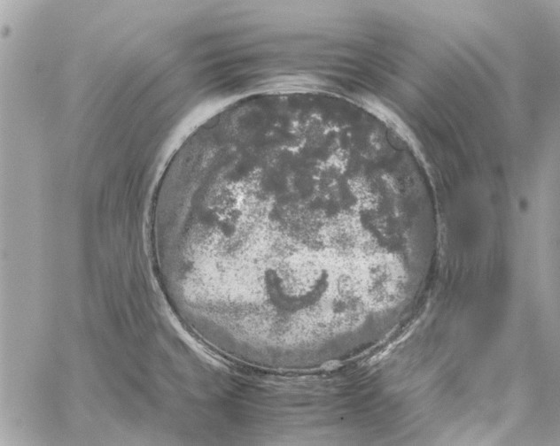 X0000060261429200511181343