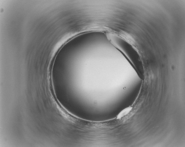 X0000060261430200511181343