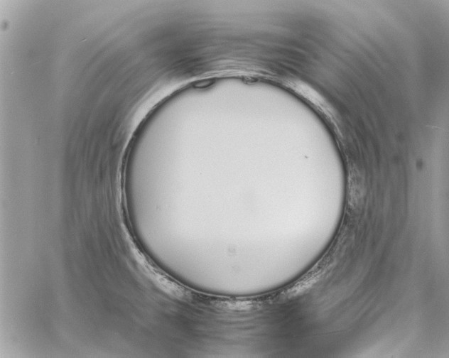 X0000060261431200511181343