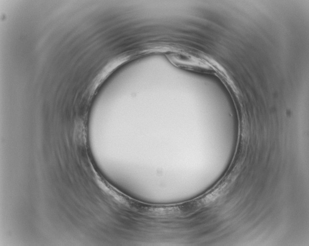 X0000060261433200511181343