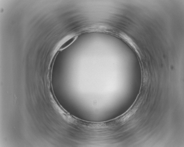 X0000060261434200511181343