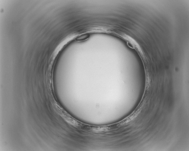 X0000060261435200511181343