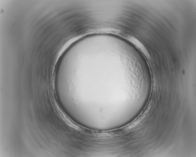 X0000060261436200511181343