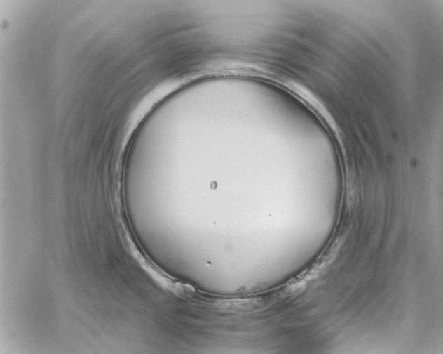 X0000060261437200511181343