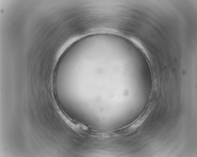 X0000060261438200511181343