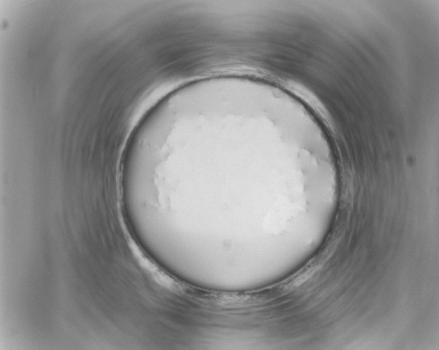 X0000060261439200511181343