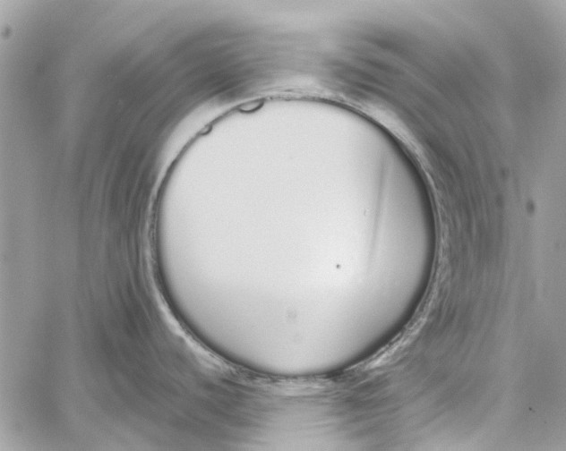 X0000060261440200511181343