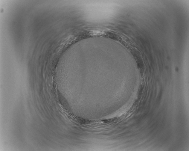 X0000060261441200511181342