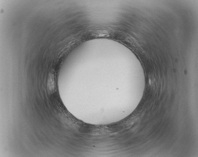 X0000060261442200511181342