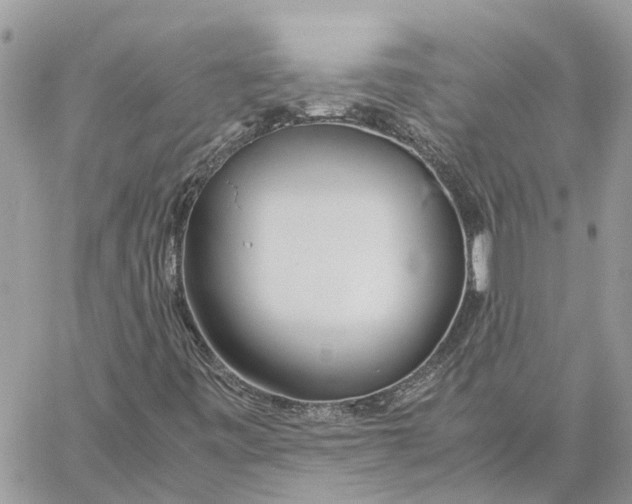 X0000060261443200511181342