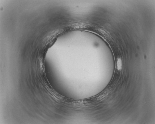 X0000060261444200511181342