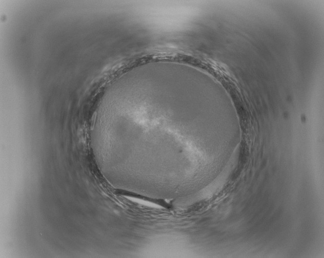 X0000060261445200511181342