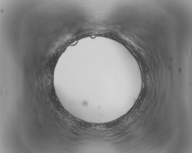 X0000060261447200511181342