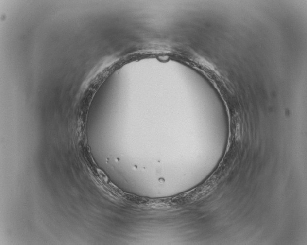 X0000060261448200511181342