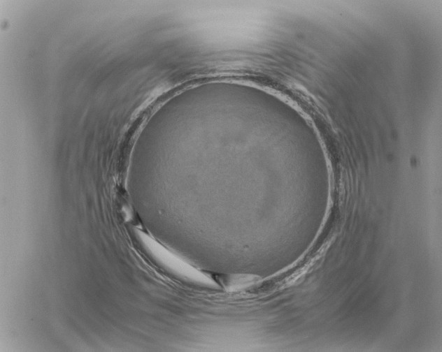 X0000060261449200511181342