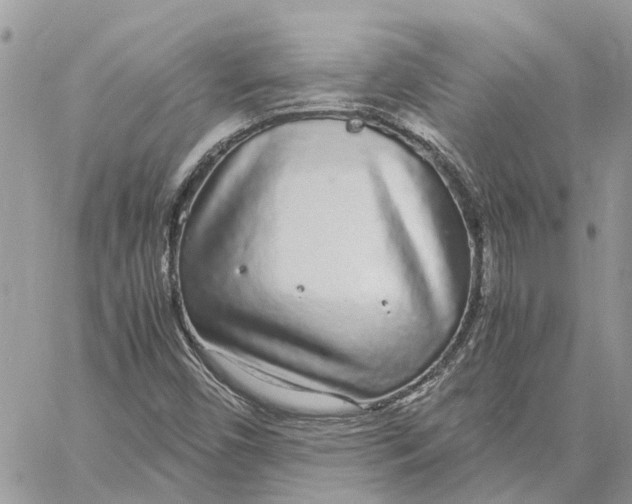 X0000060261450200511181342