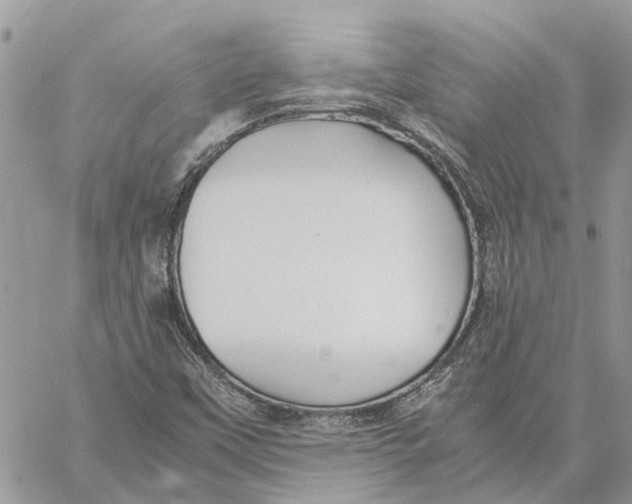 X0000060261451200511181342