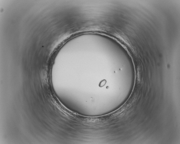 X0000060261452200511181342