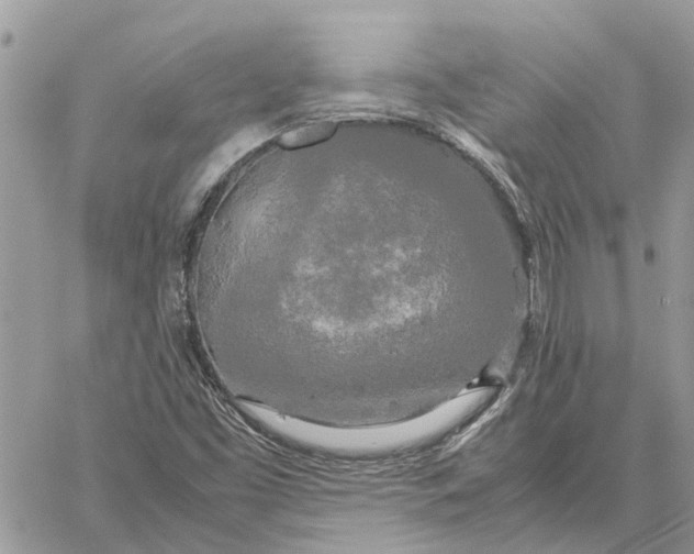 X0000060261453200511181342