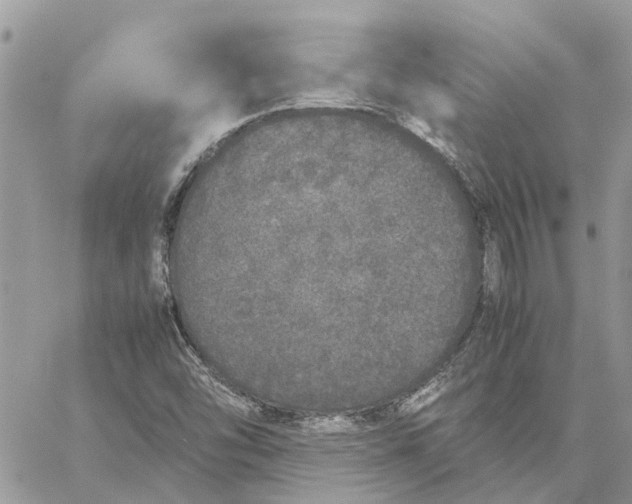 X0000060261454200511181342