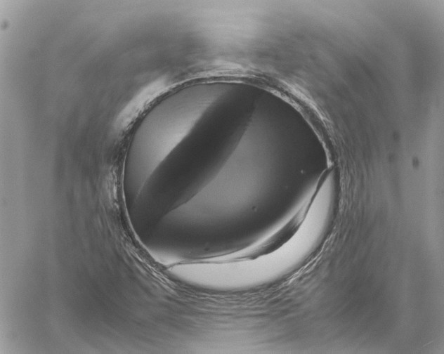 X0000060261455200511181342