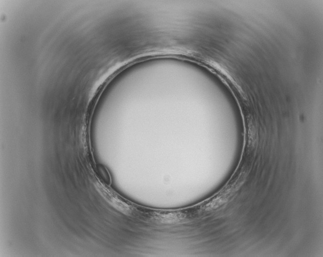 X0000060261460200511181342