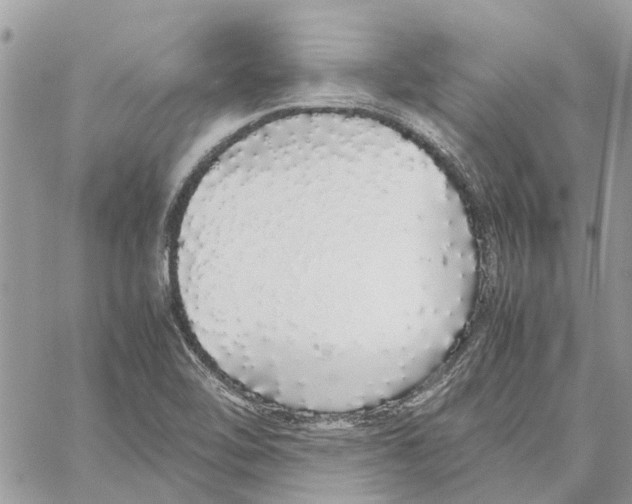 X0000060261462200511181342