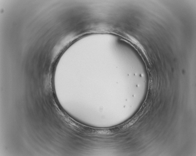 X0000060261464200511181342