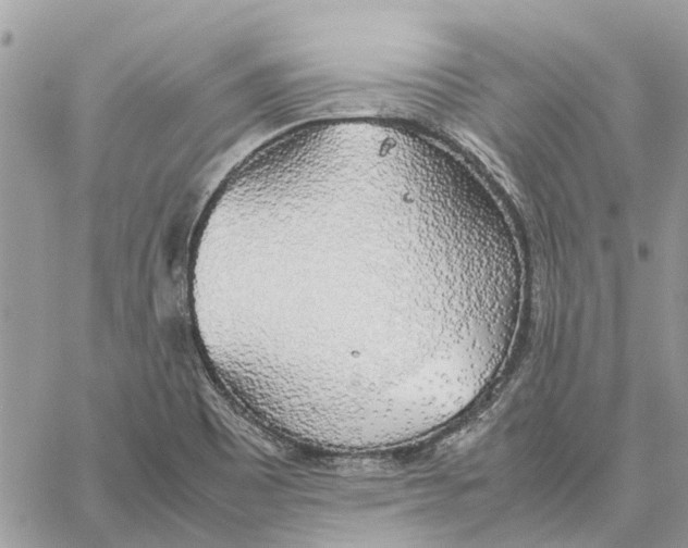 X0000060261465200511181342