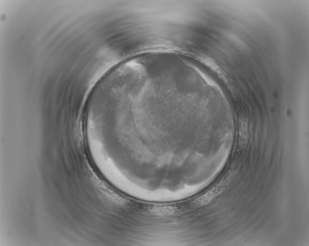 X0000060261466200511181342