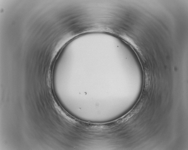 X0000060261468200511181342