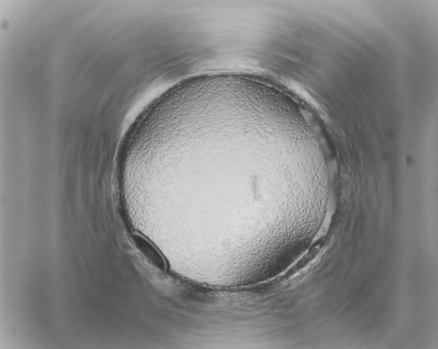 X0000060261469200511181342