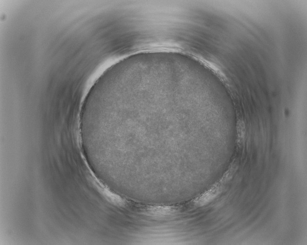 X0000060261470200511181342