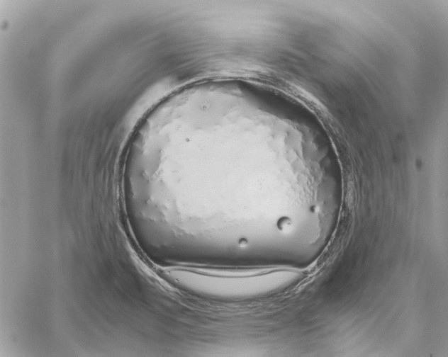 X0000060261471200511181342