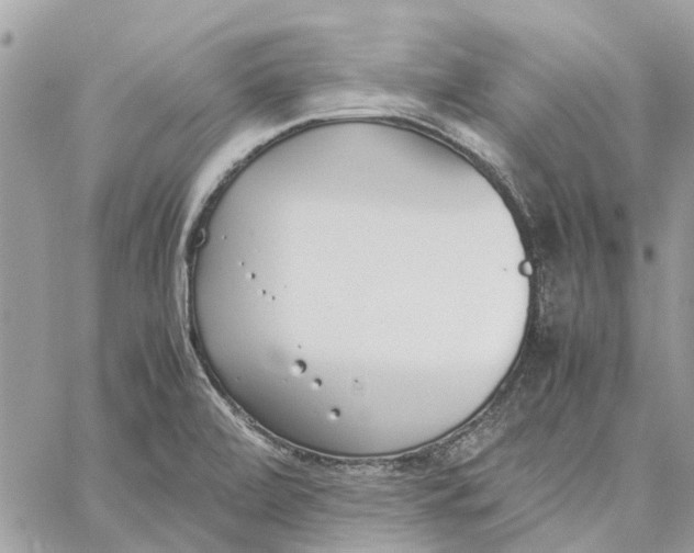 X0000060261472200511181342