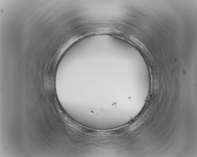 X0000060261473200511181342