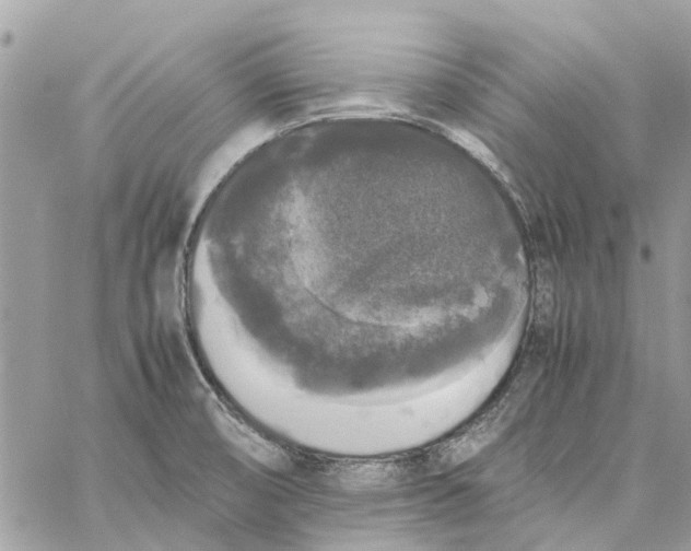 X0000060261474200511181342