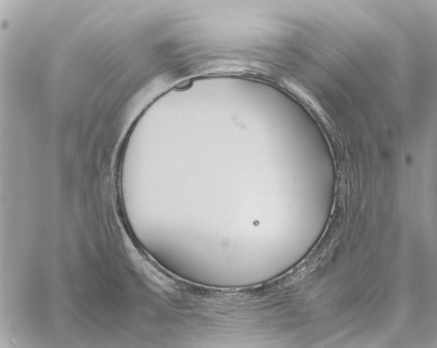 X0000060261475200511181342