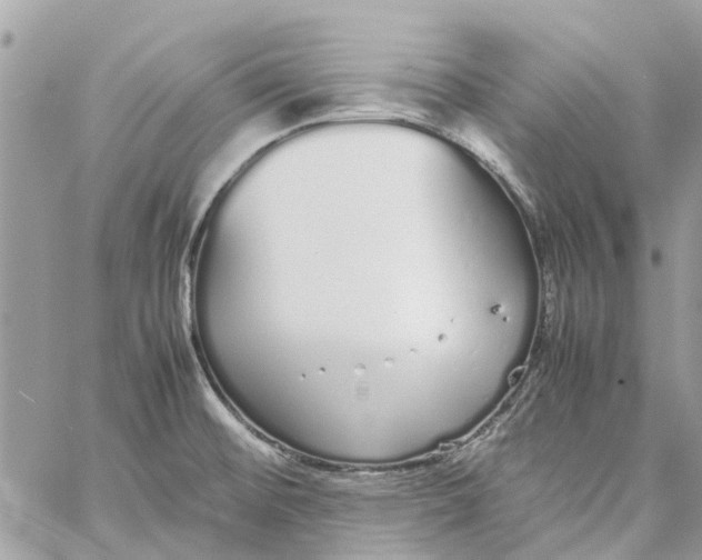 X0000060261476200511181342