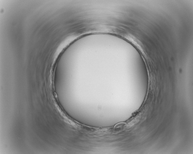 X0000060261477200511181342