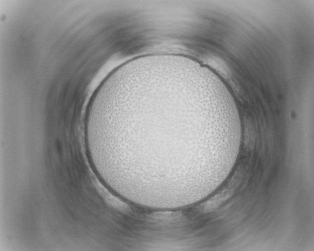 X0000060261478200511181341