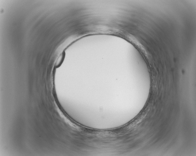 X0000060261479200511181341