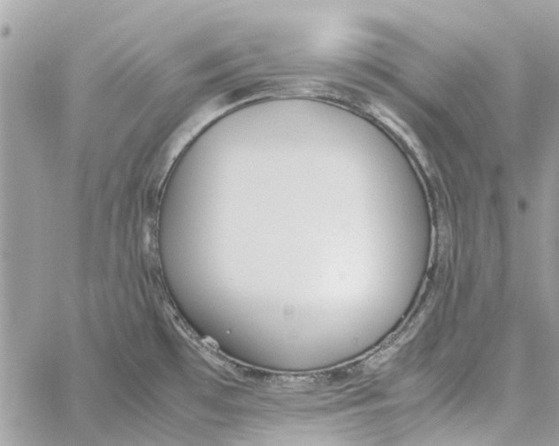 X0000060261481200511181341