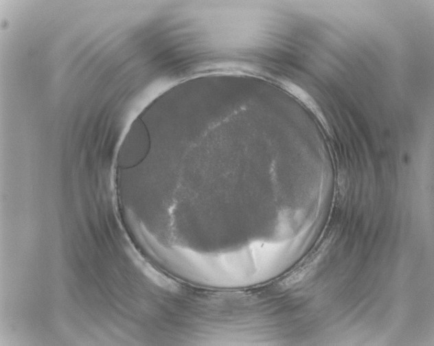 X0000060261482200511181341