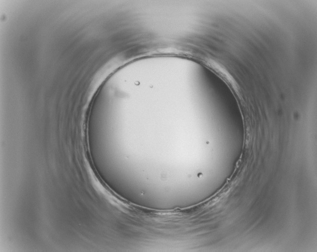 X0000060261483200511181341