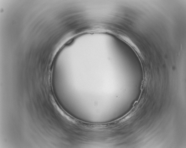 X0000060261484200511181341