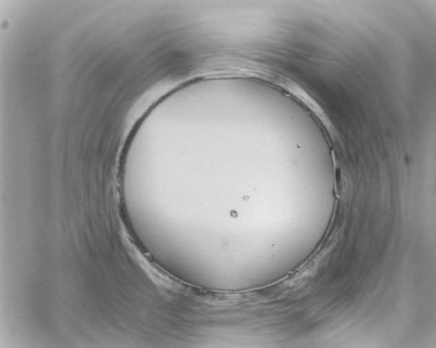 X0000060261485200511181341